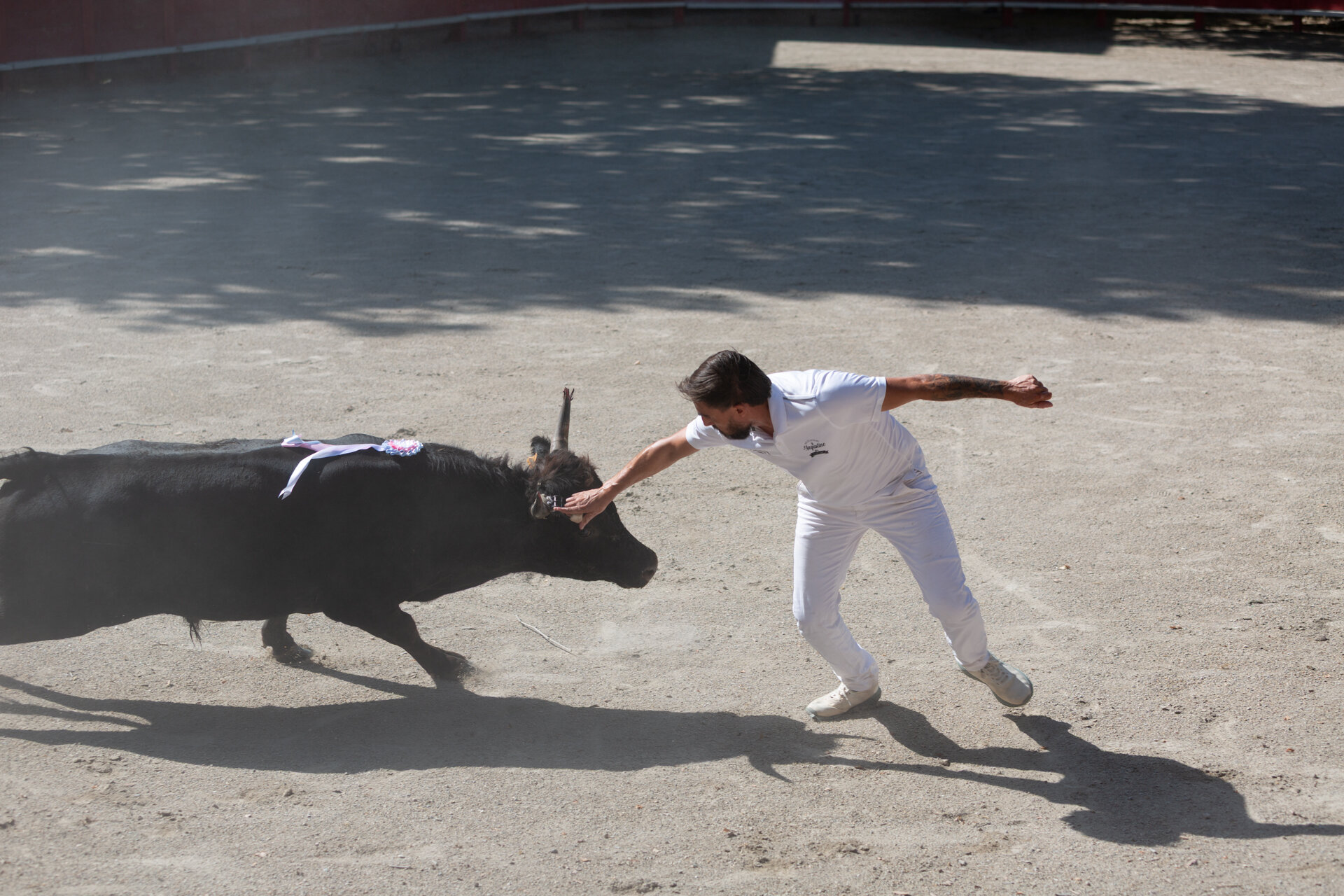 Arène d’Aigues-Vives (partie 1)
